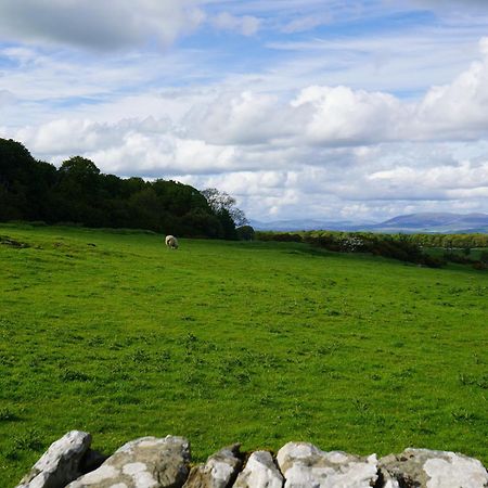 Roe Deer Lodge Newton Stewart Exteriör bild