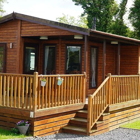 Roe Deer Lodge Newton Stewart Exteriör bild