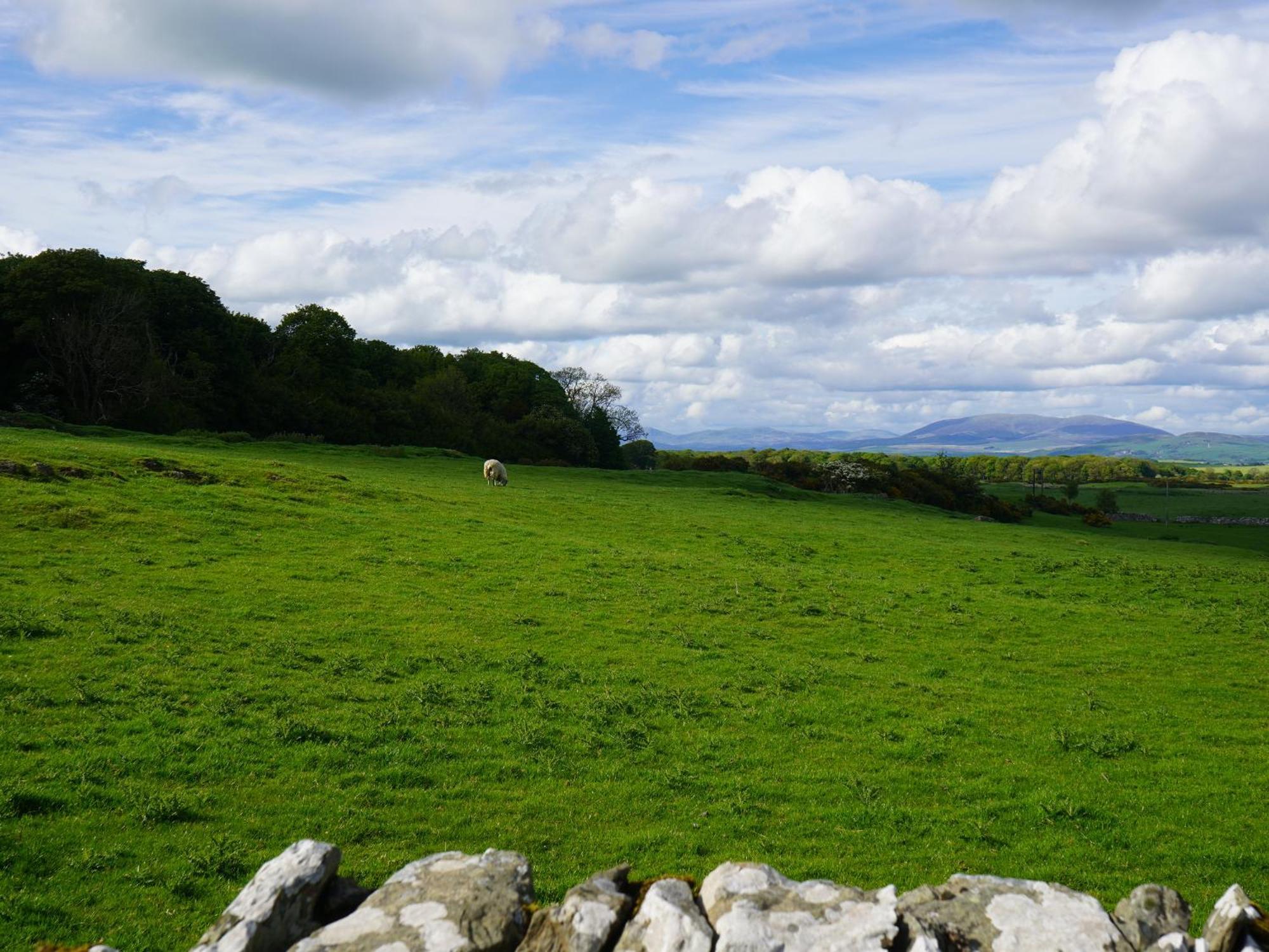 Roe Deer Lodge Newton Stewart Exteriör bild